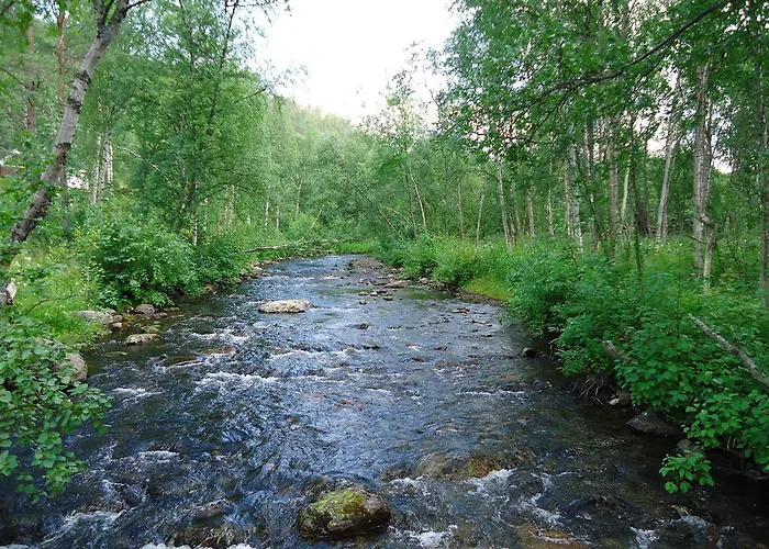 Gargia